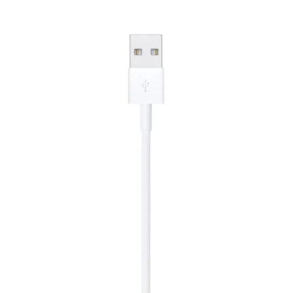 Apple Lightning to USB Cable (1m) - Sync &amp; Charge with Ease - 199 Kart