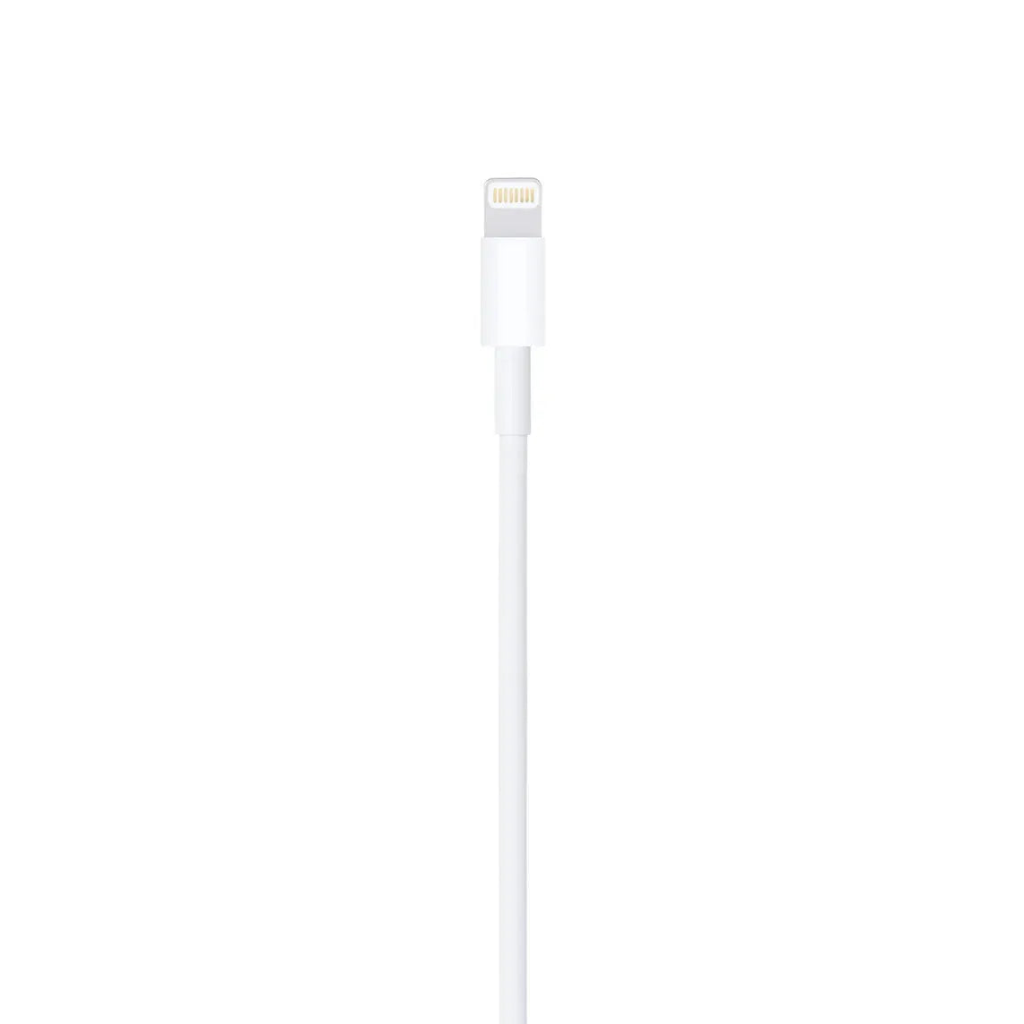 Apple Lightning to USB Cable (1m) - Sync &amp; Charge with Ease - 199 Kart