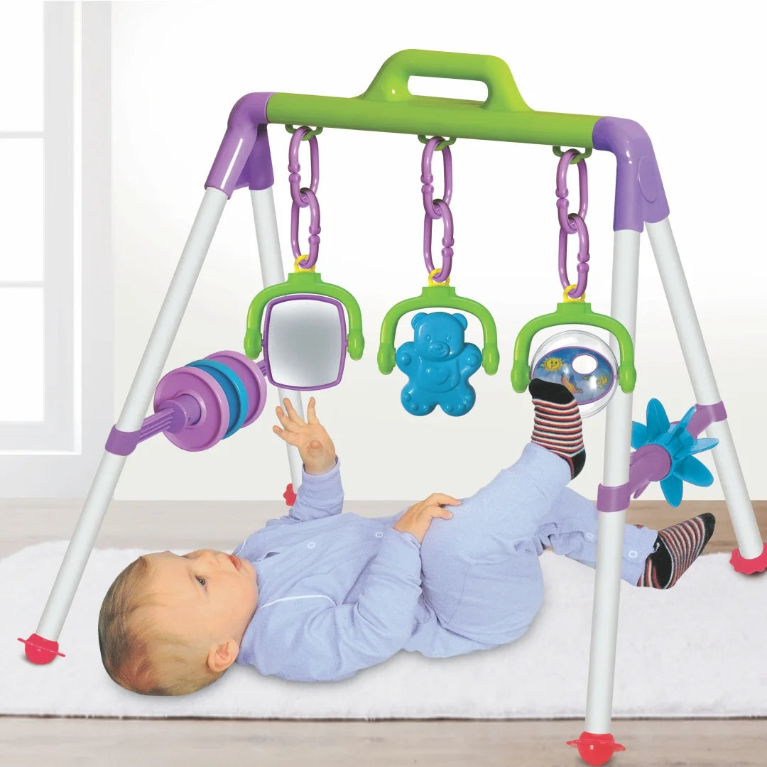 Toymate Baby Play Gym Set